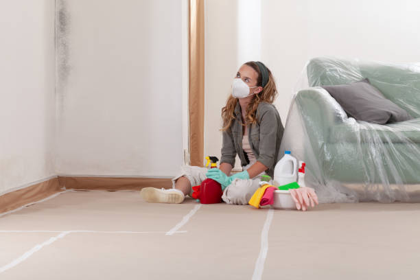 Reliable Mold Remediation contractor in Rogers, MN by WQB Mold Removal
